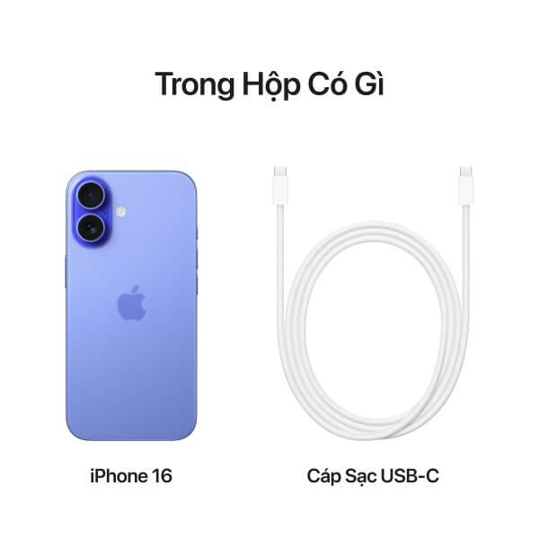 iPhone 16 - Ảnh 14