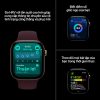 Apple Watch Series 12