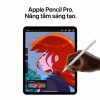 iPad Pro M4