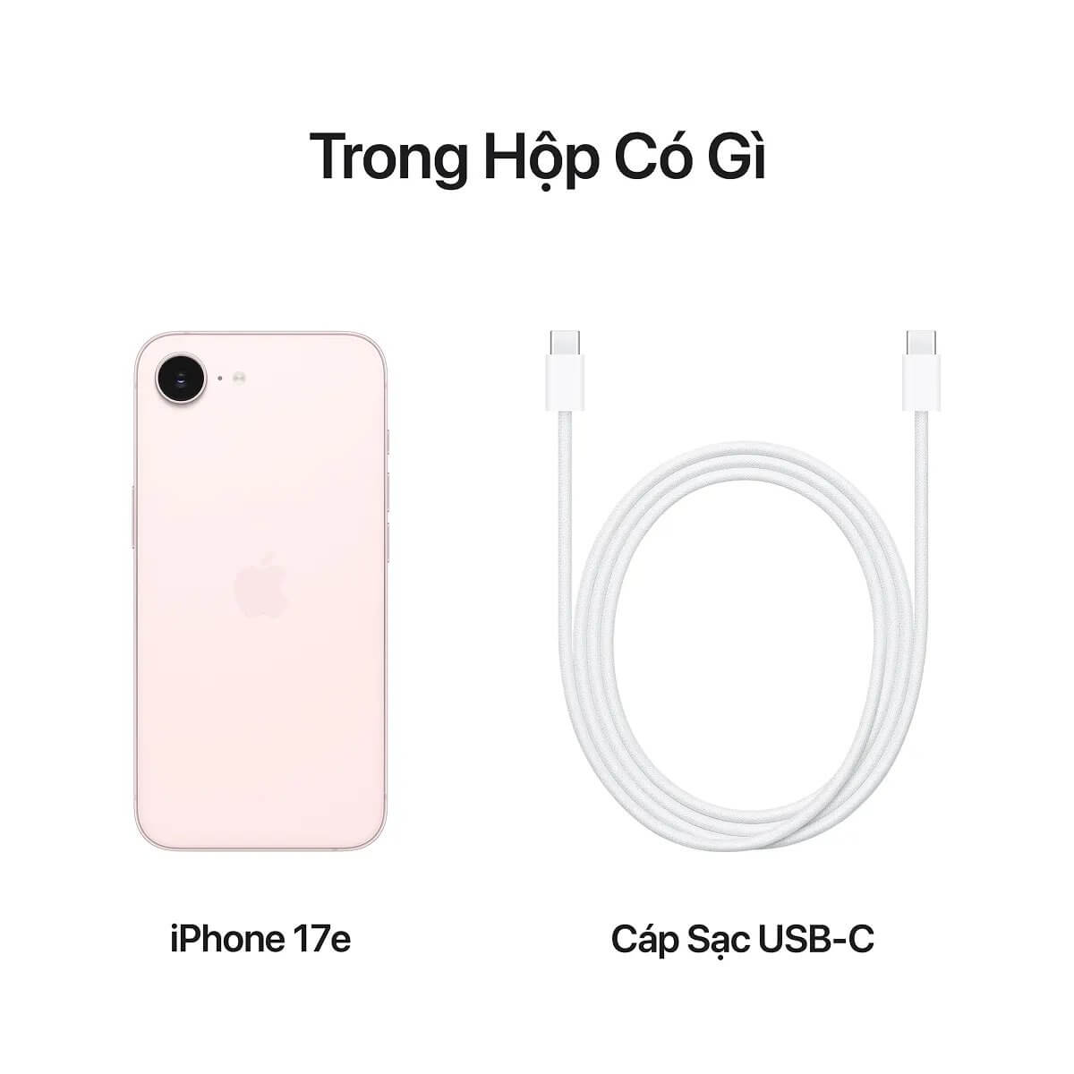 iPhone 17e